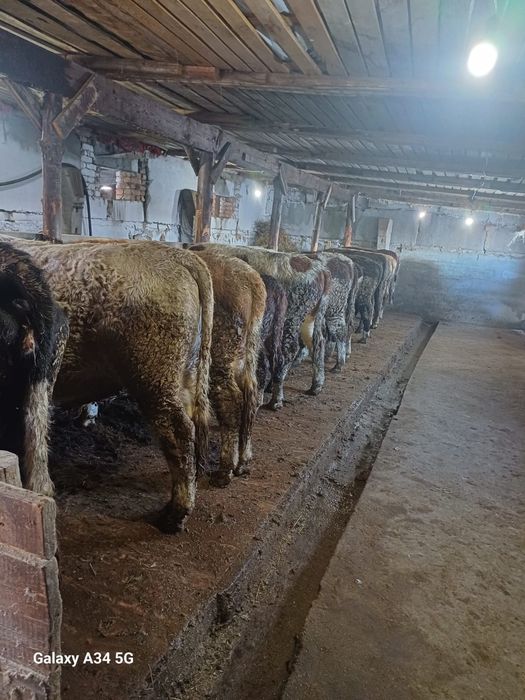 Продам дом село Байдала