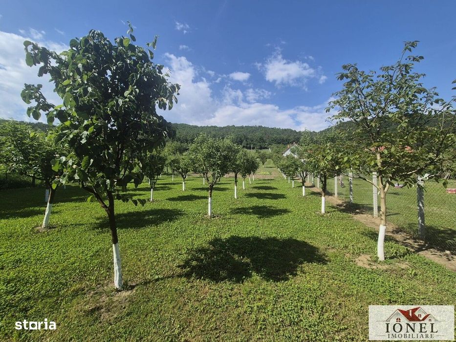 Teren intravilan 2292 mp in Vintu de Jos