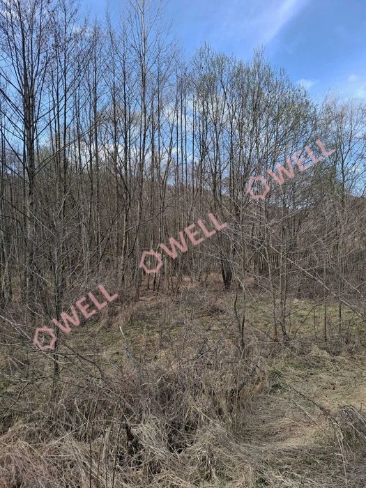 Teren de vânzare în Sovata – Strada Stâna de Vale