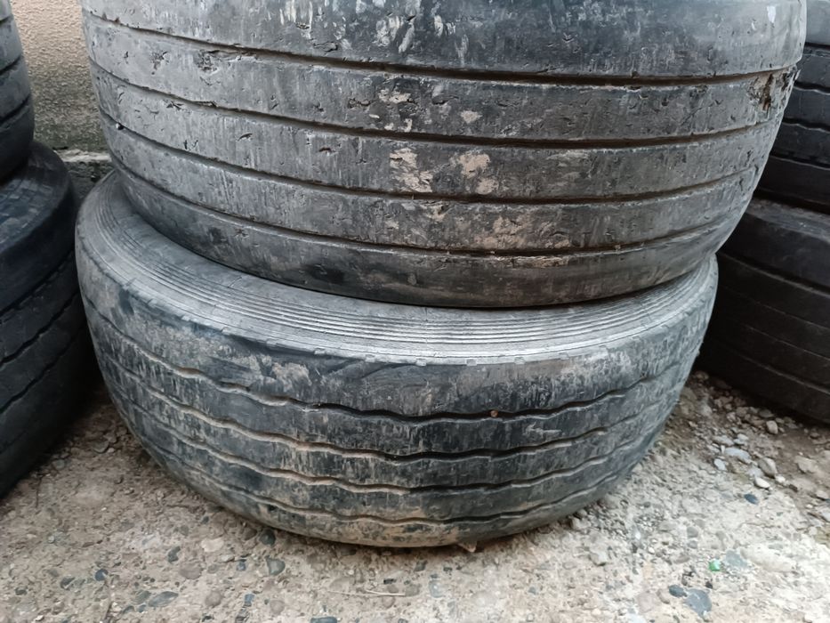 Прецепный болоны