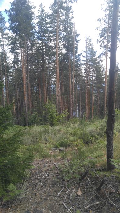 Земеделска земя до язовир, 4 дка.