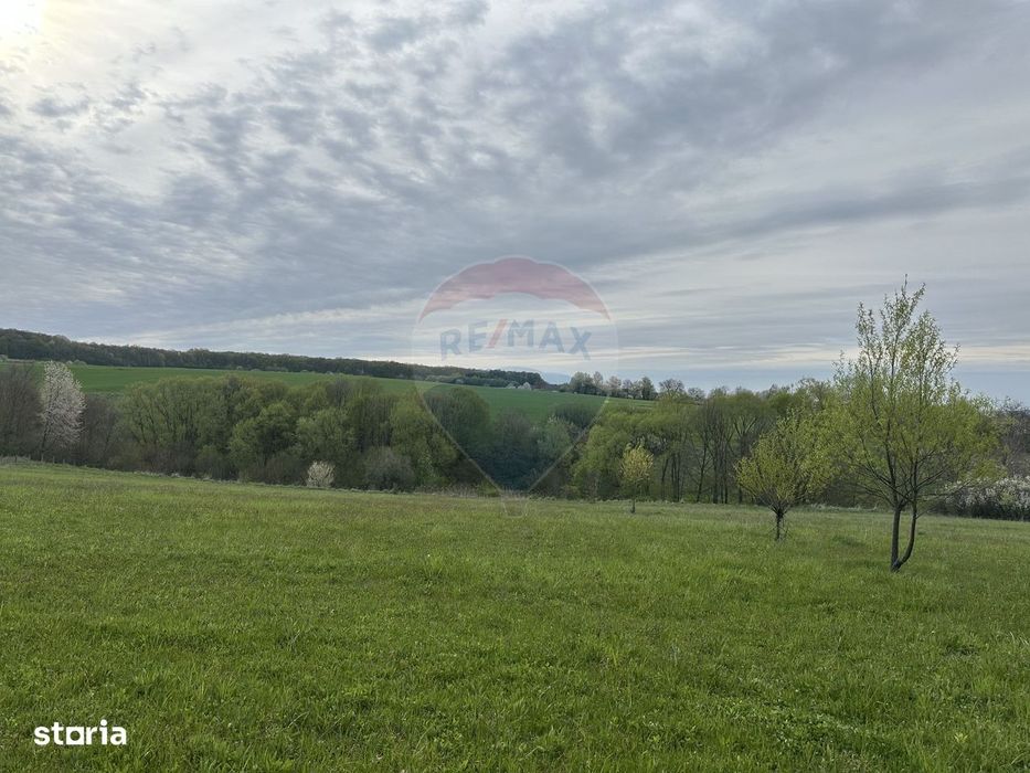 Teren 3,000mp Oslobeni / Strada Oslobeni punct GRADINA