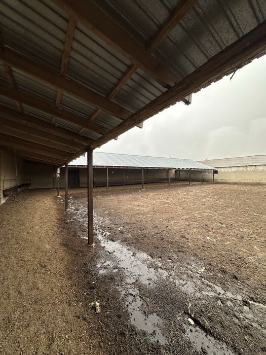 Дайын Қора 800-га жер телімі сатылады