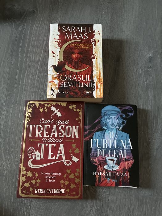 Booktok fantasy book-lot