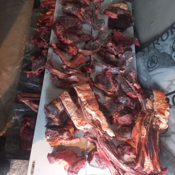 Согым продам бие 4.5 лет