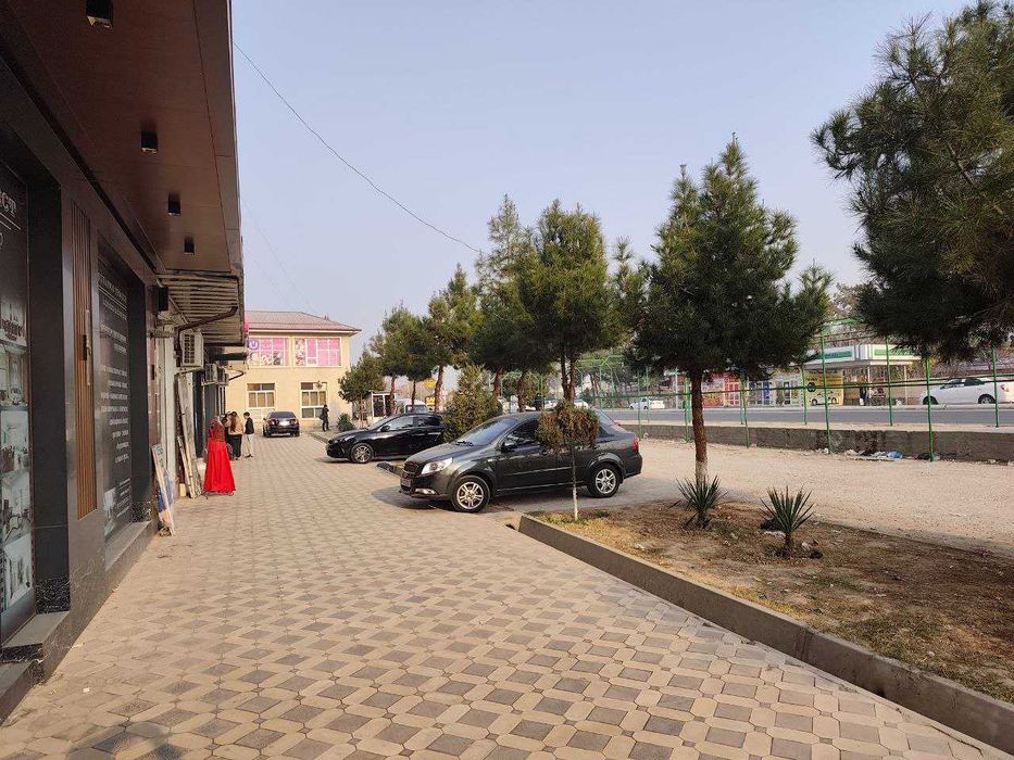 Нотурар 1 линия, Зангиота Зиёратгохида. зор локация