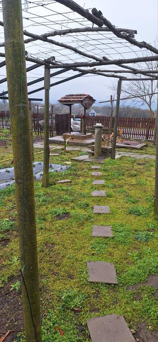 3.4 дка в с. Златия област Добрич