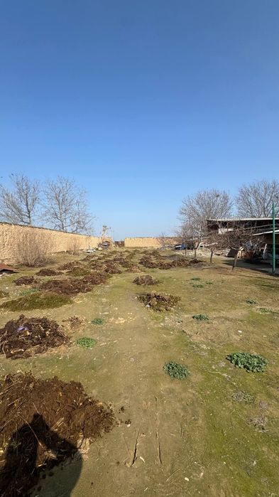 Quruq yer atrofi oralgan