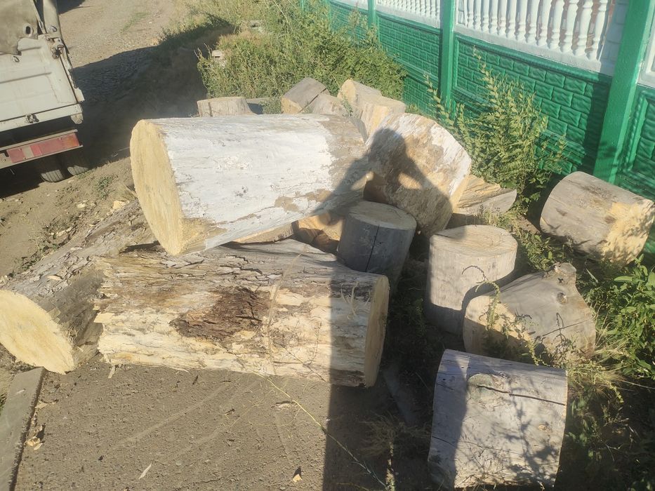 Дрова продам сухие чурки