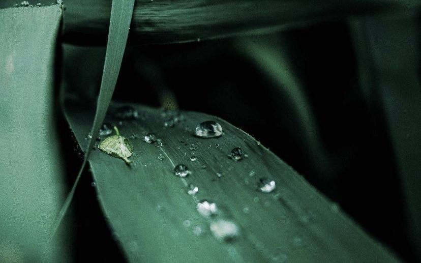 Фотограф от 10.000