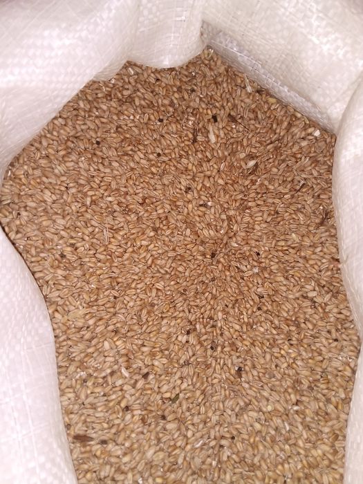 Cereale aduse gratuit la dumneavoastră acasă