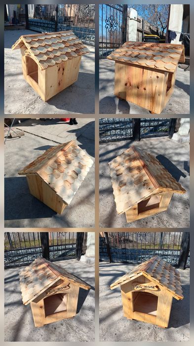 Cusca adăpost câine pisica bichon