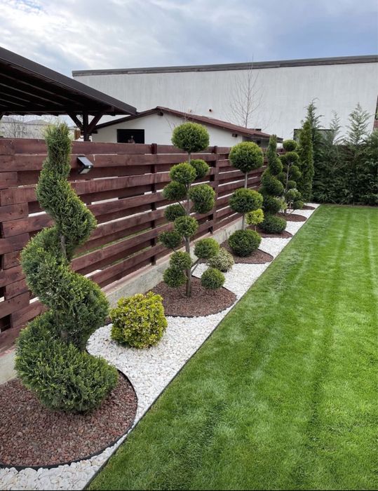 Gazon rulou si plante ornamentale