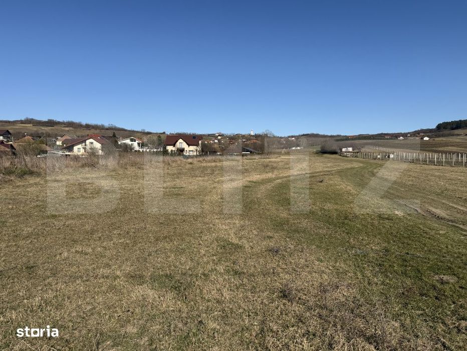 Teren intravilan in localitatea Hereclean in suprafata de 2900 mp