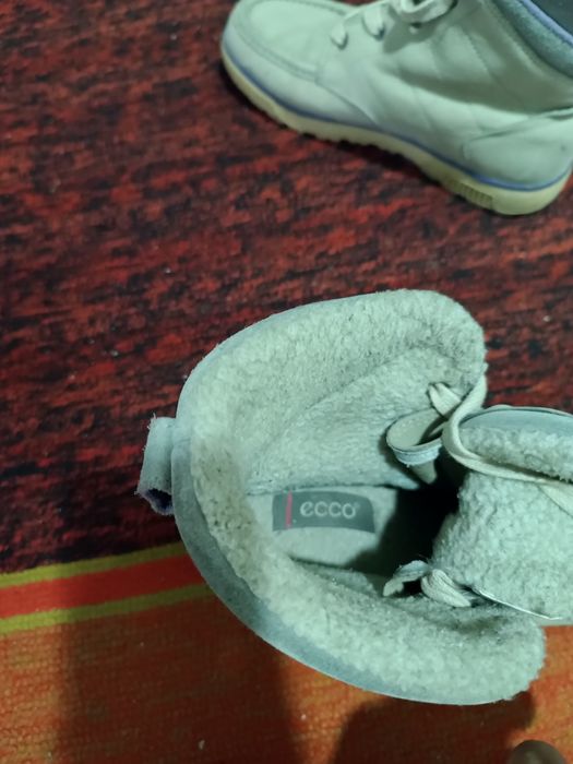 Экко оригинал аеллар сапоги