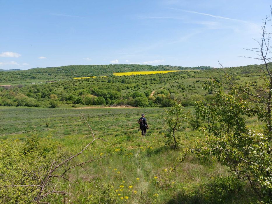 Продава се Парцел в с. Малка Верея, Област Стара Загора - 8537 кв.м за 8 €/кв.м - Снимка #7