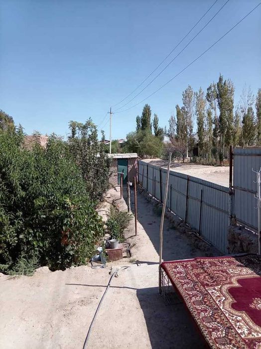 Уй сатылады (Саманбай, жолдын бойы)