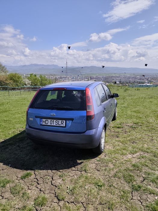 Vand Ford Fiesta