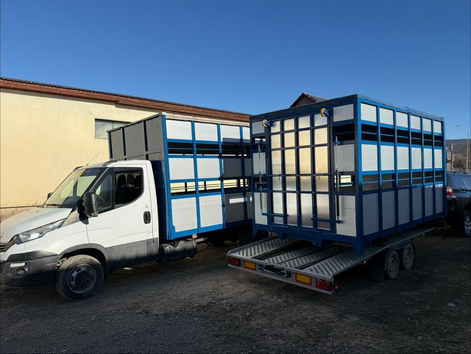 Iveco Daily cub Transport animale vii
