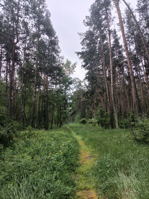 Домики в Боровом