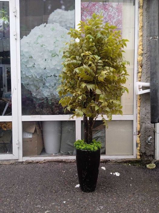 Продаю искусственные цветы и коврики