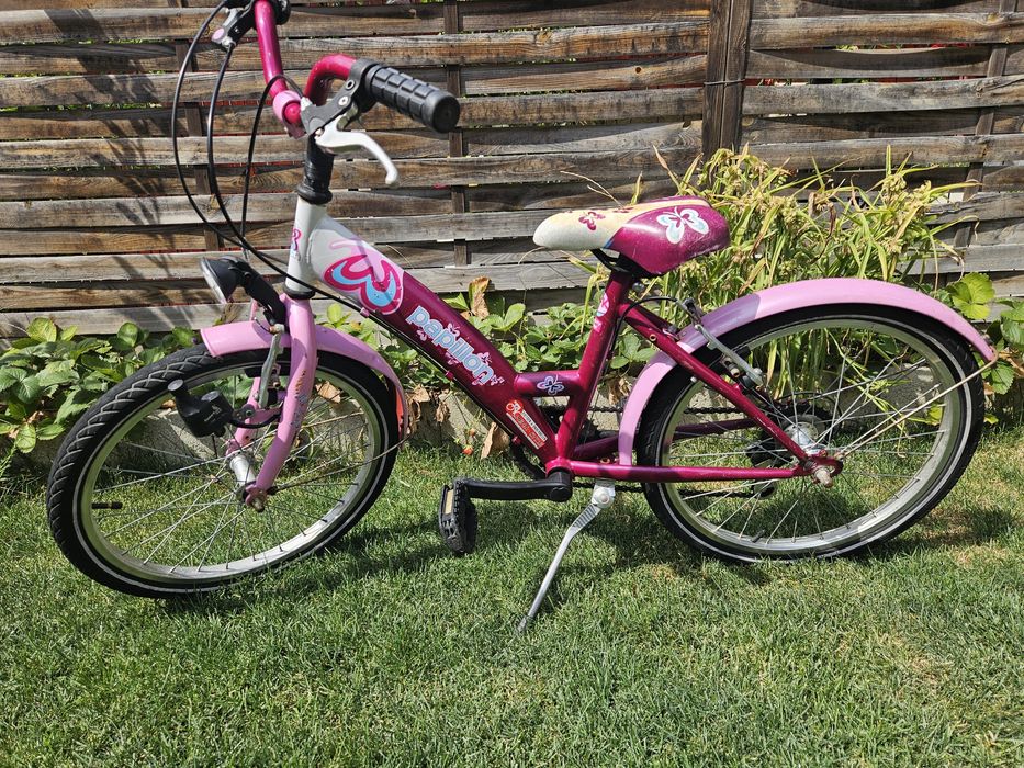 Bicicleta Papilon 20"