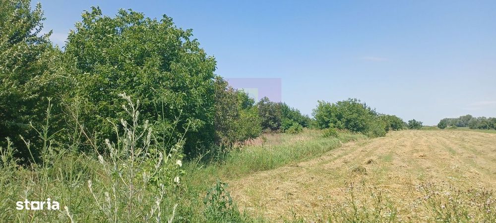Săbăreni, teren intravilan 665 mp, aproape de DJ 602