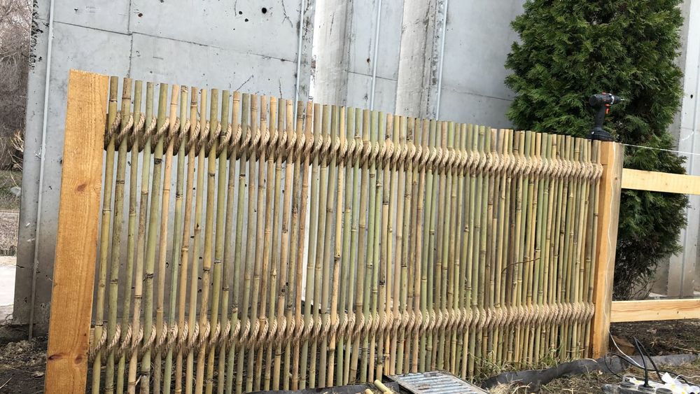 Продам бамбук !!!