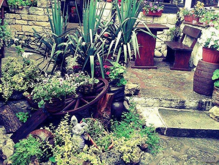 Дава се под наем Заведение в Варна, м-т Пчелина - 500 кв.м за 1530 € - Снимка #14