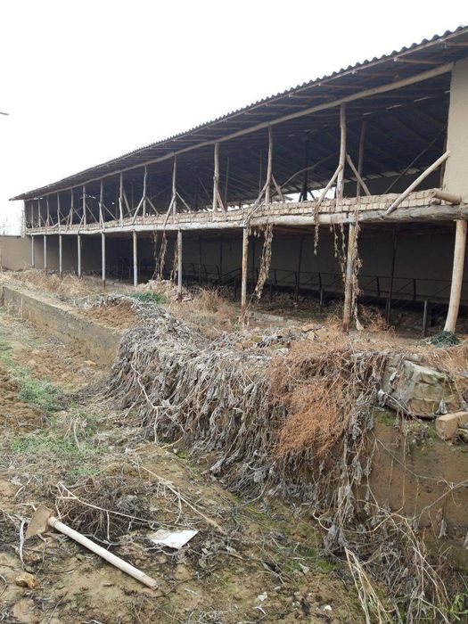 Hovli sotiladi 24 sotih uy tugallangan