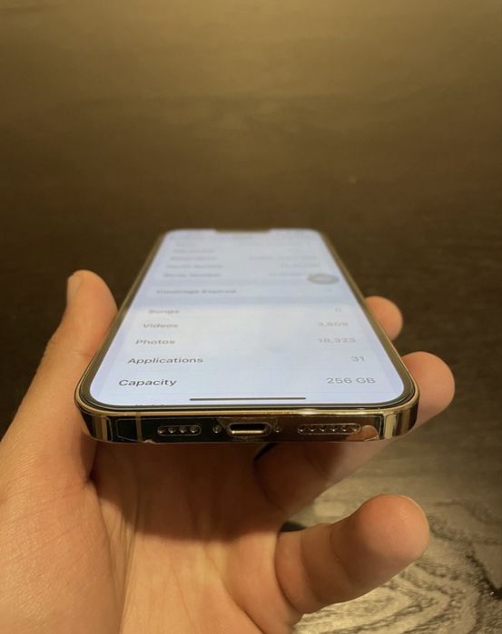 Iphone 13 Pro Max 256gb