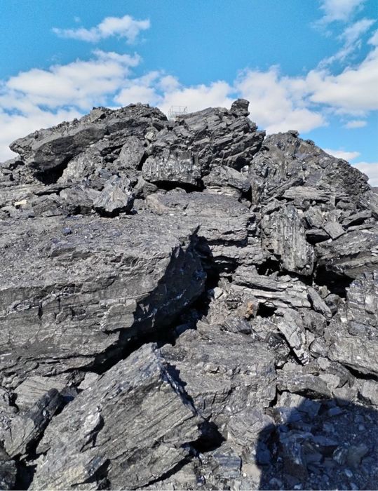 Доставка угля! Вывоз мусора, снега!