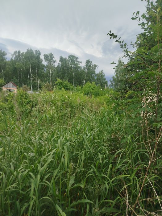 Продам дачный участок