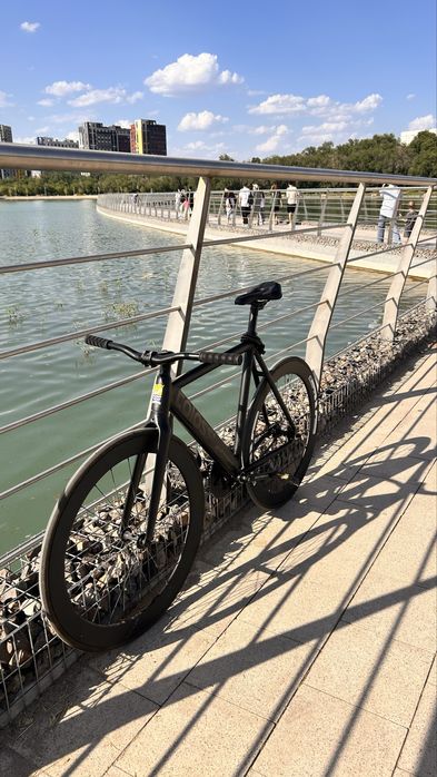 Colossi low pro