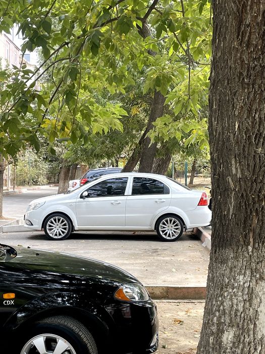 Nexia 3 Aftamat 2021 22 Chiqan