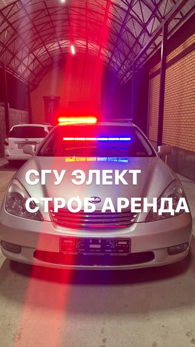 Сгу строб стробоскоп аренда прокат