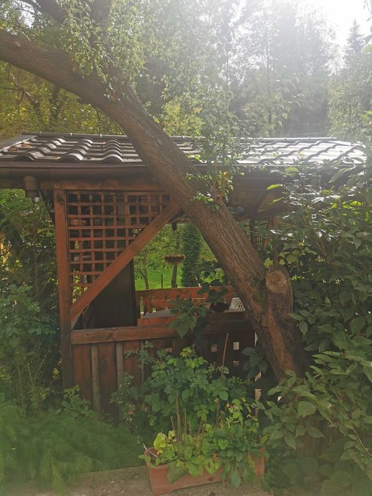 Case lemn, candelabre, hand made