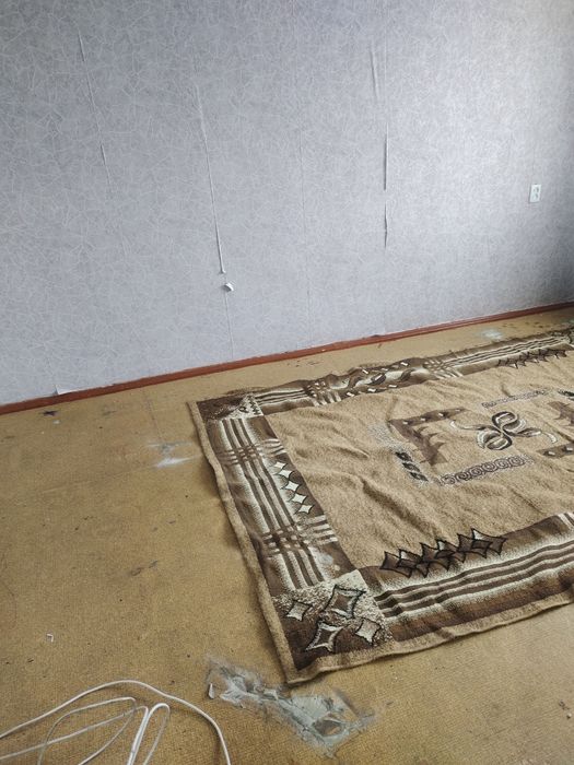 Әйгілі америкалық порножұлдыз Лиза Спаркс (Sparxxx) 22 сағатта 919 ер адамды тойдырған.