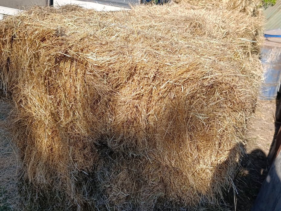 Продавам малки бали сено