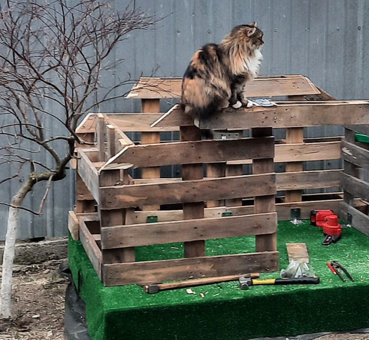 Cușcă pentru câine tip Hobbit