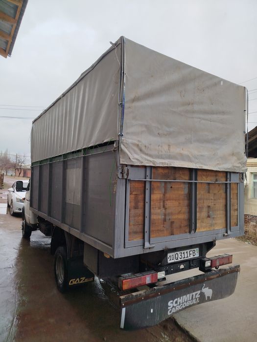 Bort gazel tent taxta