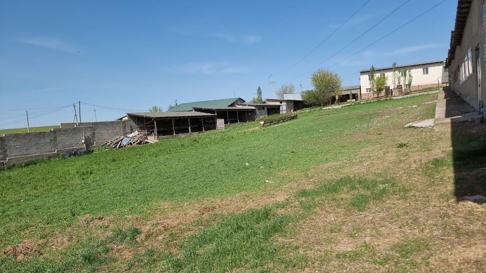 Продаёться фазенда