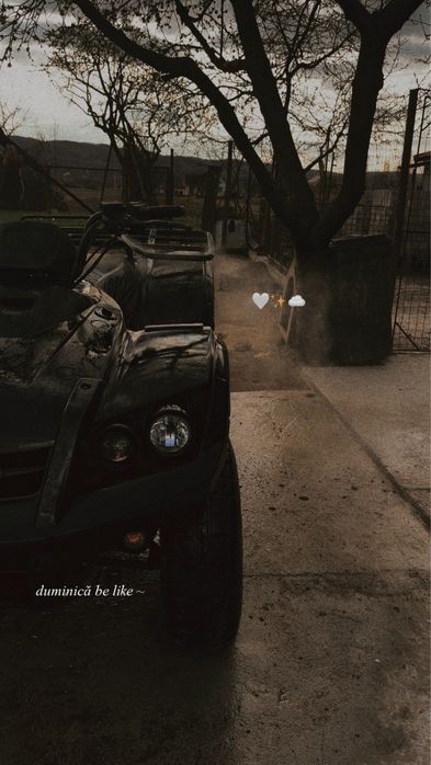Atv TGB blade 325