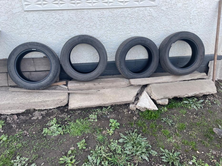 Anvelope vara Barum 205 55 r16