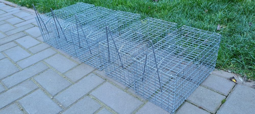 Capcana șoareci sau șobolani