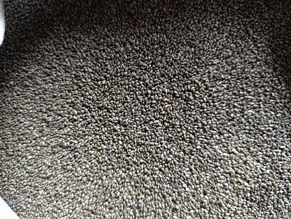 Семена люцерны. (Магниченные).