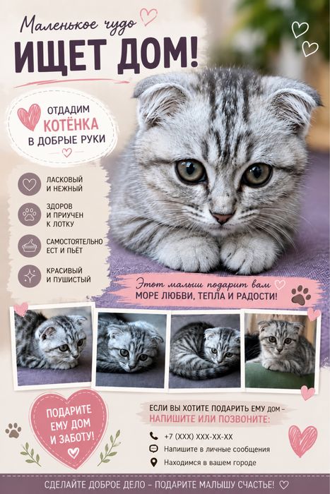 отдам котенка в добрые руки