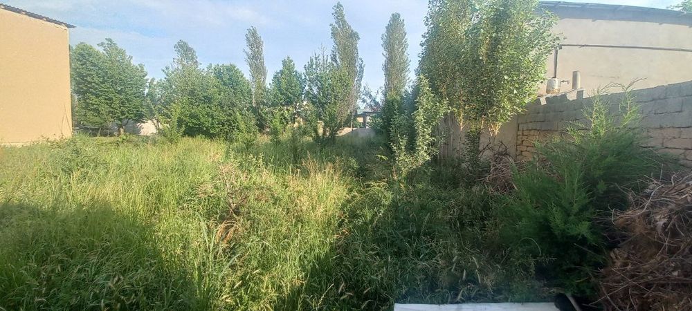 СРОЧНО Янгийул т.н Чаманзор Кора тепа махалласи М39 Тошкент Самарканд
