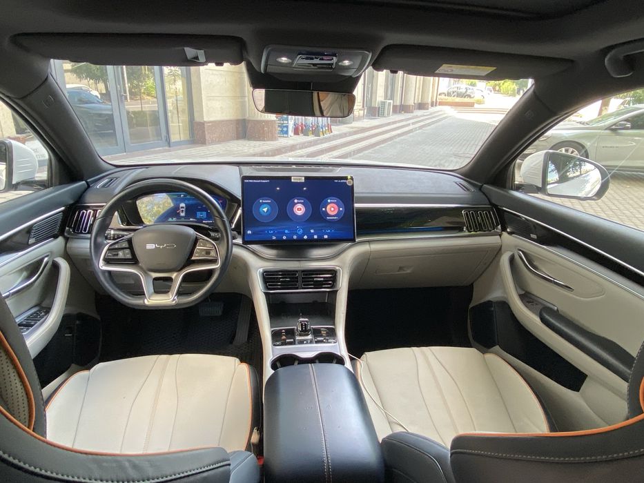 BYD fleshchip 605