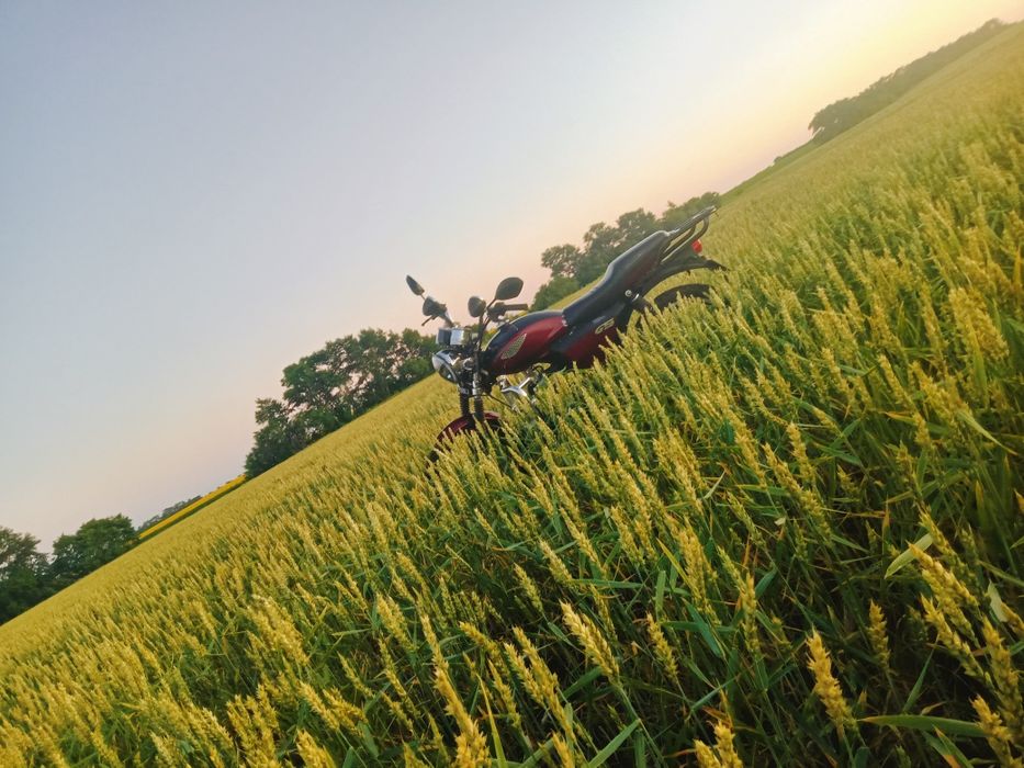 Продам мотоцикл альфа